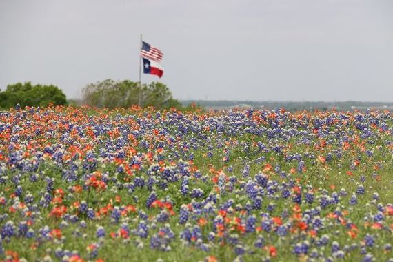 Fort Hood Housing Info